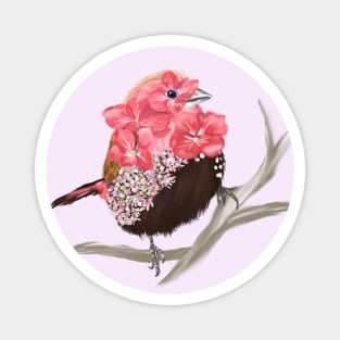 Pink throated Twinspot + Hydrangea Lacecaps Magnet